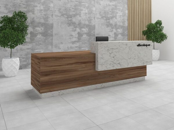 Ritz reception desk