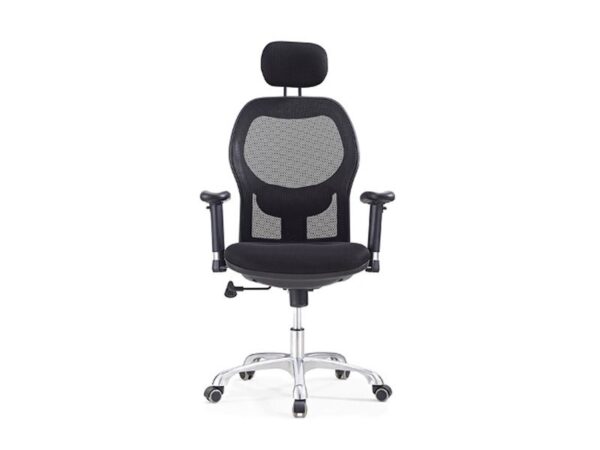 Parker Ergonomic Chair