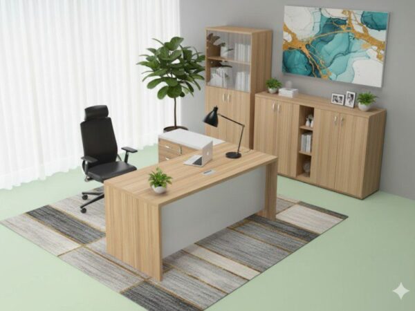 Ibis Executive Office Desk