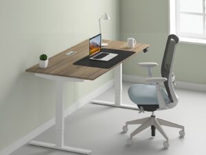 ergo height adjustable desk